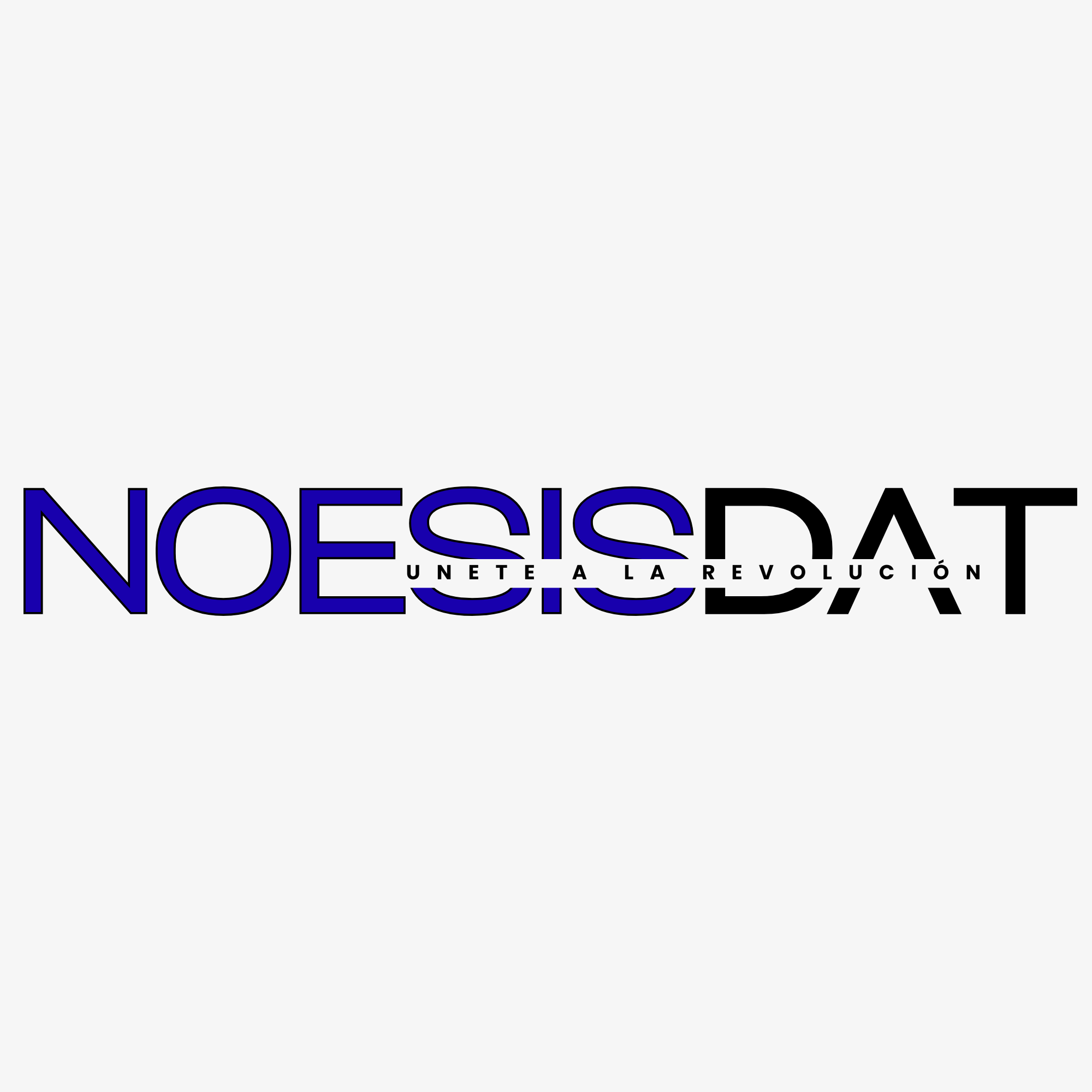NoesisDat Logo